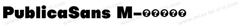 PublicaSans M字体转换